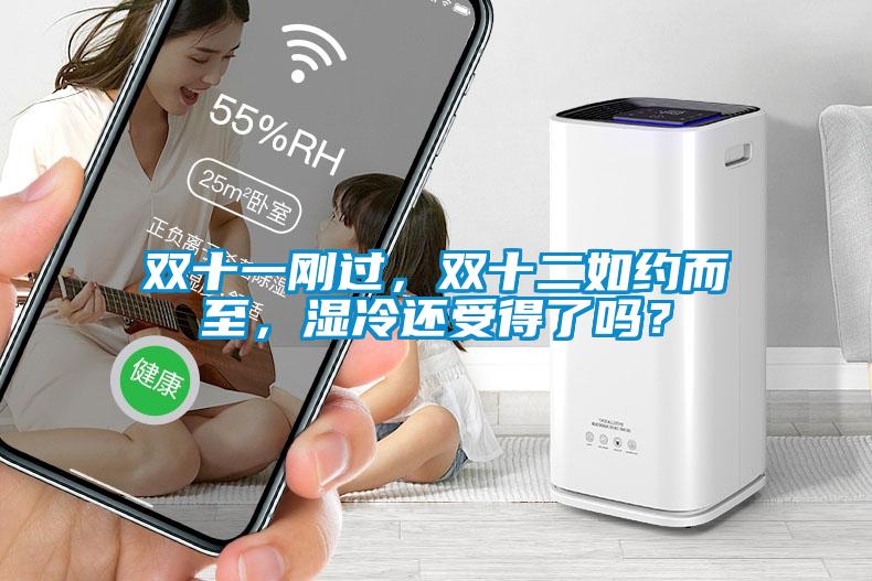 雙十一剛過，雙十二如約而至，濕冷還受得了嗎？