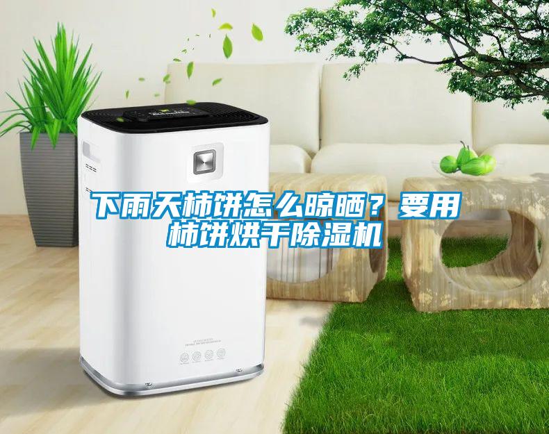 下雨天柿餅怎么晾曬？要用柿餅烘干除濕機