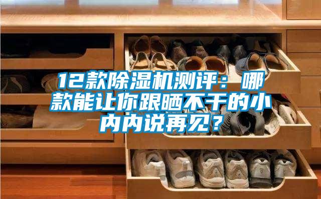 12款除濕機測評：哪款能讓你跟曬不干的小內(nèi)內(nèi)說再見？