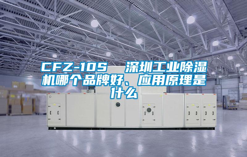 CFZ-10S  深圳工業(yè)除濕機(jī)哪個(gè)品牌好、應(yīng)用原理是什么