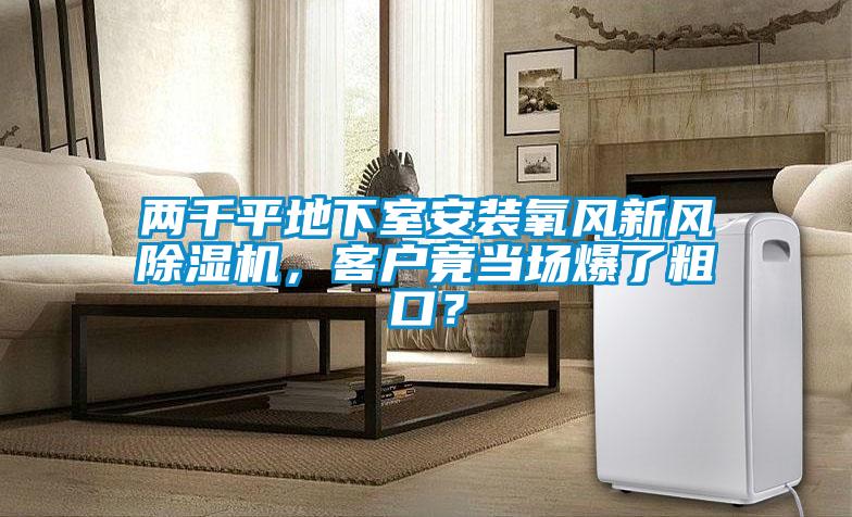 兩千平地下室安裝氧風新風除濕機，客戶竟當場爆了粗口？