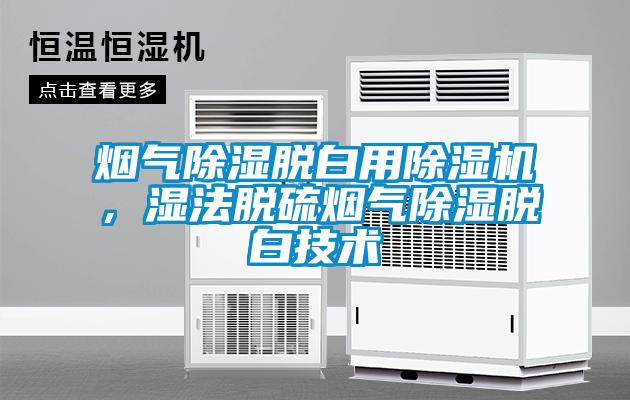 煙氣除濕脫白用除濕機(jī)，濕法脫硫煙氣除濕脫白技術(shù)