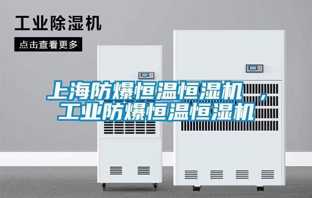 上海防爆恒溫恒濕機(jī) ，工業(yè)防爆恒溫恒濕機(jī)