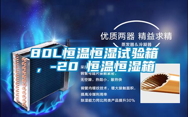 80L恒溫恒濕試驗箱，-20℃恒溫恒濕箱