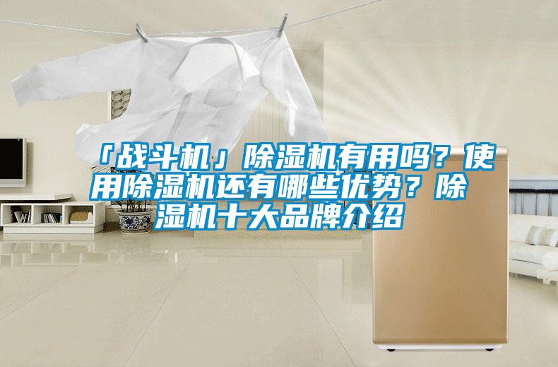 「戰(zhàn)斗機(jī)」除濕機(jī)有用嗎？使用除濕機(jī)還有哪些優(yōu)勢(shì)？除濕機(jī)十大品牌介紹