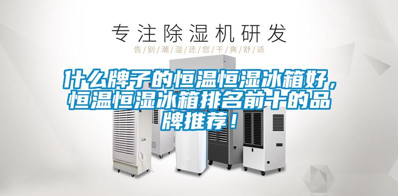 什么牌子的恒溫恒濕冰箱好，恒溫恒濕冰箱排名前十的品牌推薦！