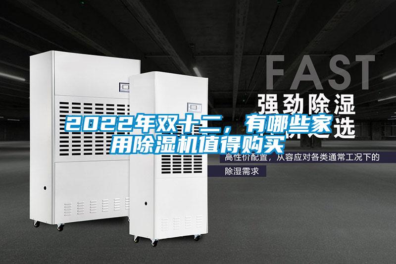 2022年雙十二，有哪些家用除濕機(jī)值得購(gòu)買