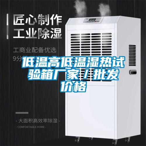 低溫高低溫濕熱試驗(yàn)箱廠家／批發(fā)價格
