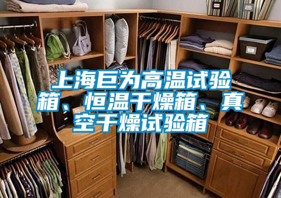 上海巨為高溫試驗(yàn)箱、恒溫干燥箱、真空干燥試驗(yàn)箱