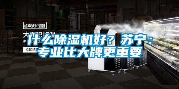 什么除濕機(jī)好？蘇寧：專業(yè)比大牌更重要