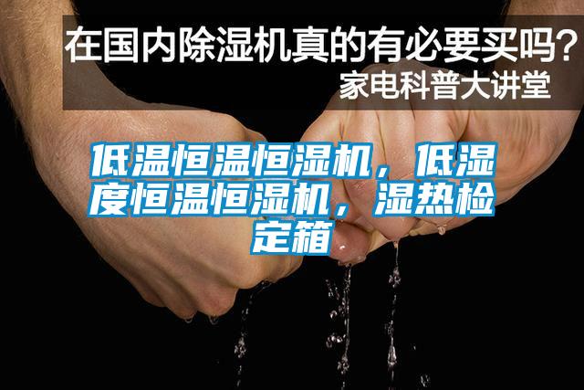 低溫恒溫恒濕機(jī)，低濕度恒溫恒濕機(jī)，濕熱檢定箱