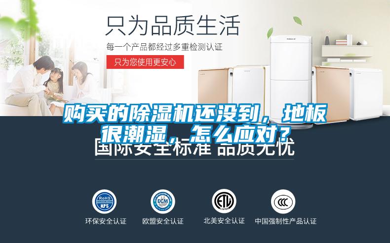 購(gòu)買的除濕機(jī)還沒到，地板很潮濕，怎么應(yīng)對(duì)？