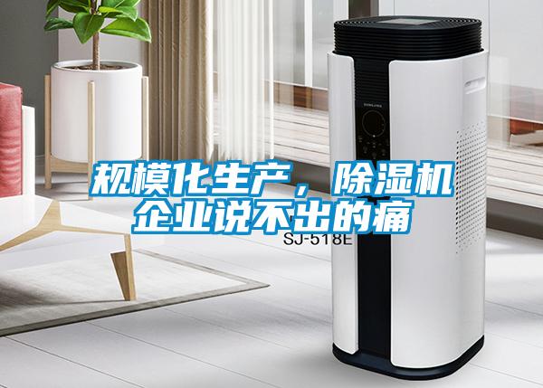 規(guī)模化生產(chǎn)，除濕機(jī)企業(yè)說不出的痛