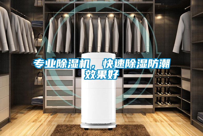 專業(yè)除濕機，快速除濕防潮效果好