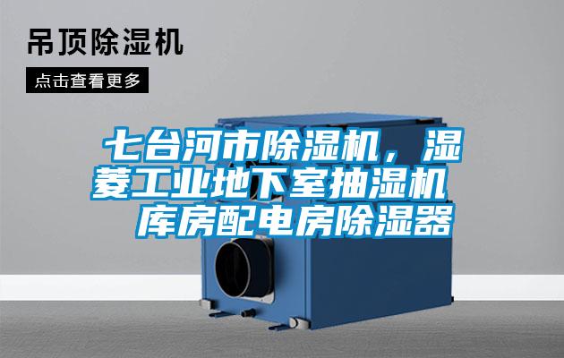 七臺河市除濕機，濕菱工業(yè)地下室抽濕機  庫房配電房除濕器