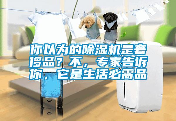 你以為的除濕機(jī)是奢侈品？不，專家告訴你，它是生活必需品