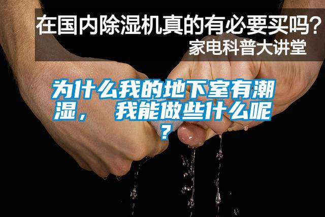 為什么我的地下室有潮濕， 我能做些什么呢？
