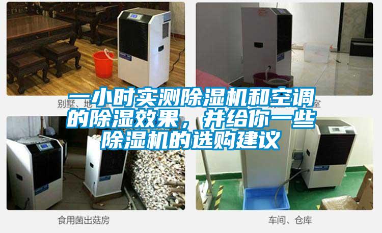一小時實測除濕機和空調(diào)的除濕效果，并給你一些除濕機的選購建議