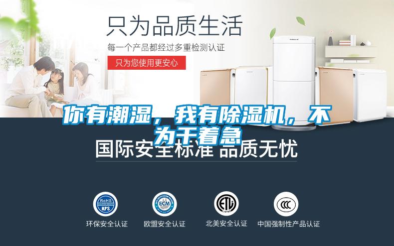 你有潮濕，我有除濕機，不為干著急