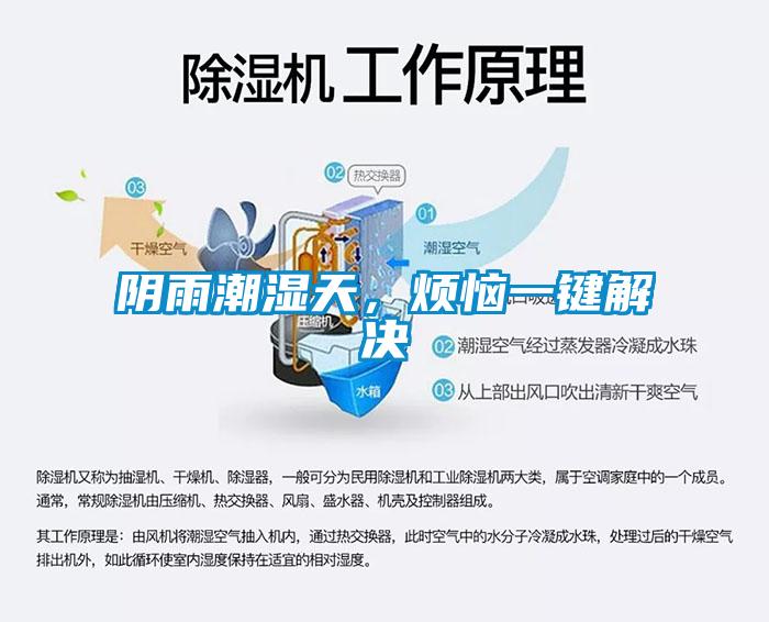 陰雨潮濕天，煩惱一鍵解決
