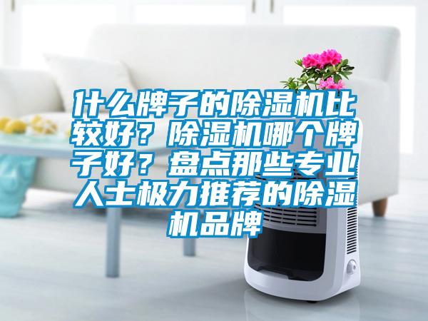 什么牌子的除濕機(jī)比較好？除濕機(jī)哪個(gè)牌子好？盤(pán)點(diǎn)那些專業(yè)人士極力推薦的除濕機(jī)品牌