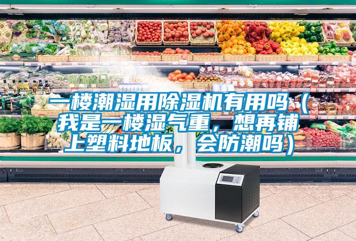 一樓潮濕用除濕機有用嗎（我是一樓濕氣重，想再鋪上塑料地板，會防潮嗎）