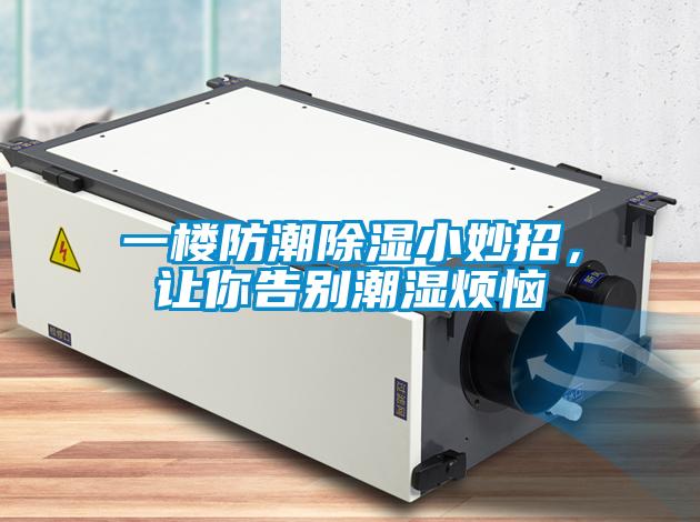 一樓防潮除濕小妙招，讓你告別潮濕煩惱