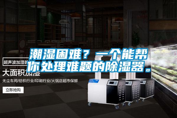潮濕困難？一個能幫你處理難題的除濕器。