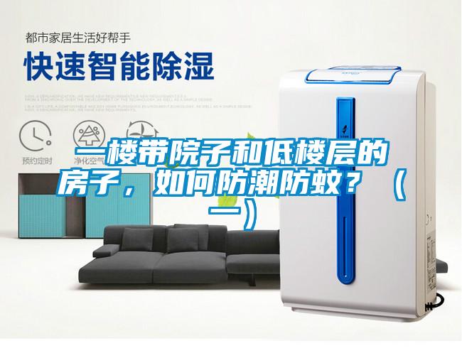 一樓帶院子和低樓層的房子，如何防潮防蚊？（一）