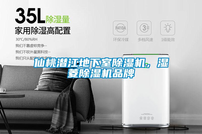 仙桃潛江地下室除濕機(jī)，濕菱除濕機(jī)品牌