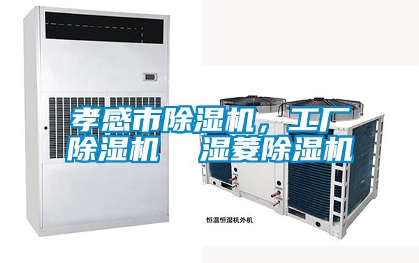 孝感市除濕機，工廠除濕機  濕菱除濕機