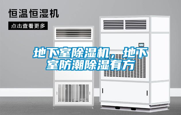 地下室除濕機(jī)，地下室防潮除濕有方