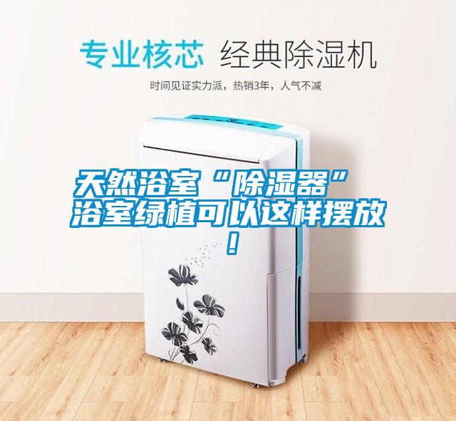天然浴室“除濕器” 浴室綠植可以這樣擺放！