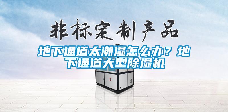 地下通道太潮濕怎么辦？地下通道大型除濕機(jī)