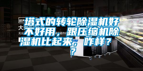 塔式的轉(zhuǎn)輪除濕機(jī)好不好用，跟壓縮機(jī)除濕機(jī)比起來(lái)，咋樣？ ？