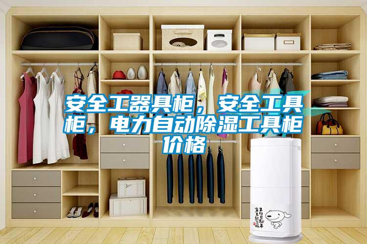 安全工器具柜，安全工具柜，電力自動(dòng)除濕工具柜價(jià)格