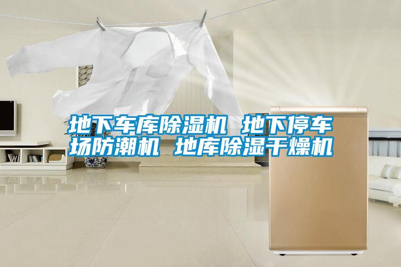 地下車庫除濕機(jī) 地下停車場(chǎng)防潮機(jī) 地庫除濕干燥機(jī)