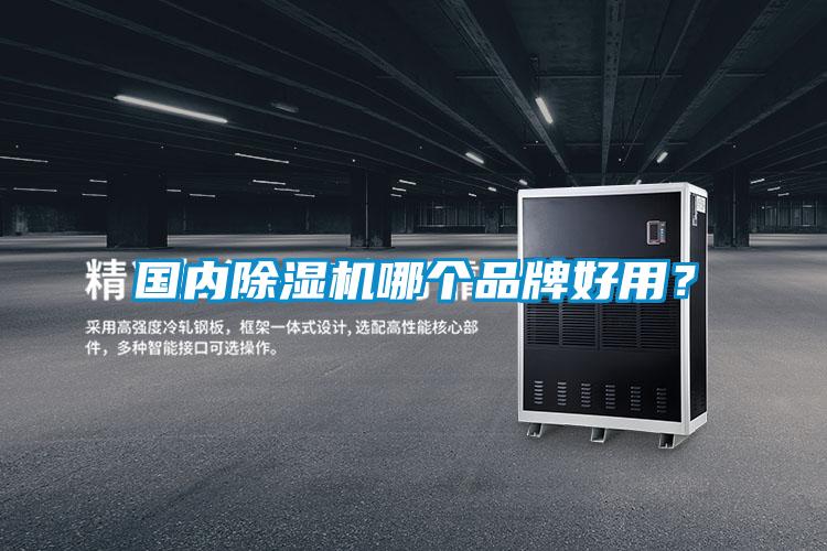 國內(nèi)除濕機哪個品牌好用？