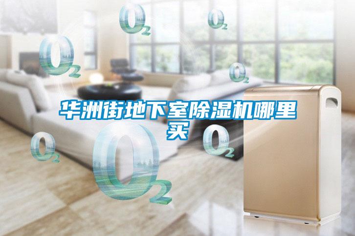 華洲街地下室除濕機(jī)哪里買(mǎi)