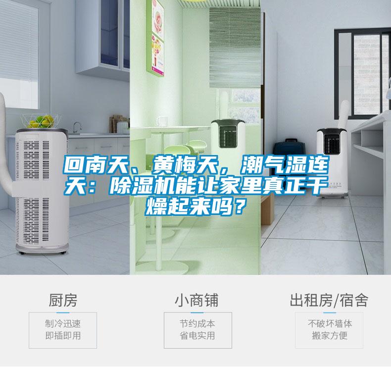 回南天、黃梅天，潮氣濕連天：除濕機(jī)能讓家里真正干燥起來嗎？
