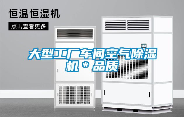 大型工廠(chǎng)車(chē)間空氣除濕機(jī)＊品質(zhì)