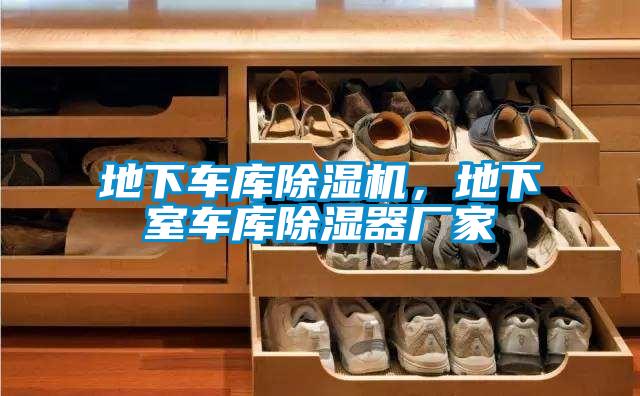 地下車庫除濕機(jī)，地下室車庫除濕器廠家
