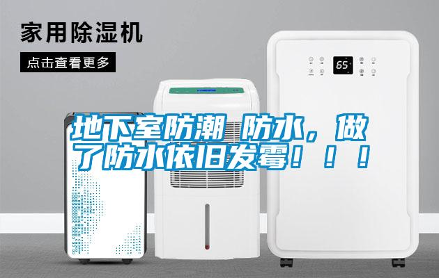 地下室防潮≠防水，做了防水依舊發(fā)霉?。?！