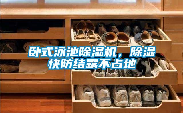 臥式泳池除濕機，除濕快防結露不占地