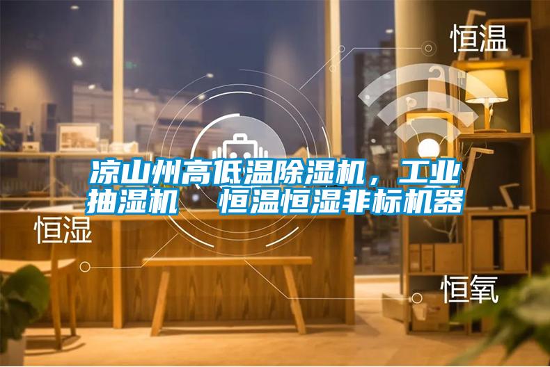 涼山州高低溫除濕機，工業(yè)抽濕機  恒溫恒濕非標(biāo)機器