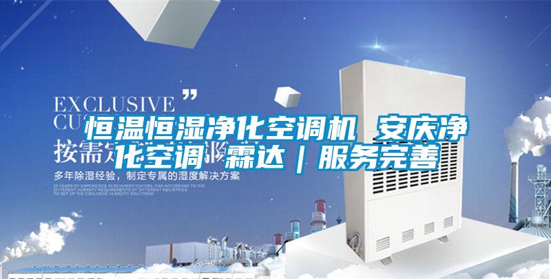 恒溫恒濕凈化空調(diào)機 安慶凈化空調(diào) 霖達｜服務完善