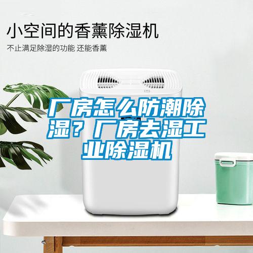 廠房怎么防潮除濕？廠房去濕工業(yè)除濕機(jī)