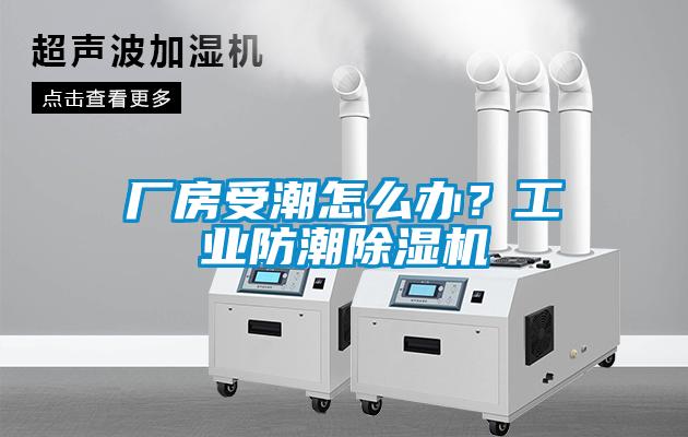 廠房受潮怎么辦？工業(yè)防潮除濕機