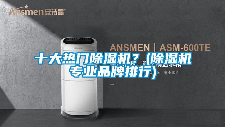 十大熱門除濕機？(除濕機專業(yè)品牌排行)