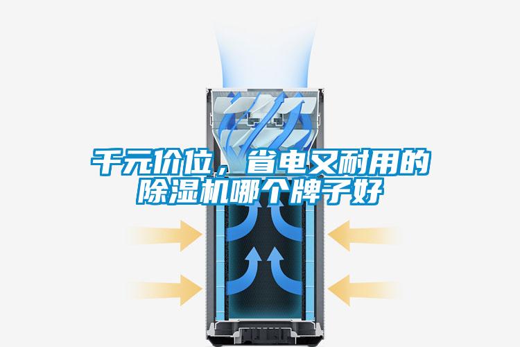 千元價(jià)位，省電又耐用的除濕機(jī)哪個(gè)牌子好